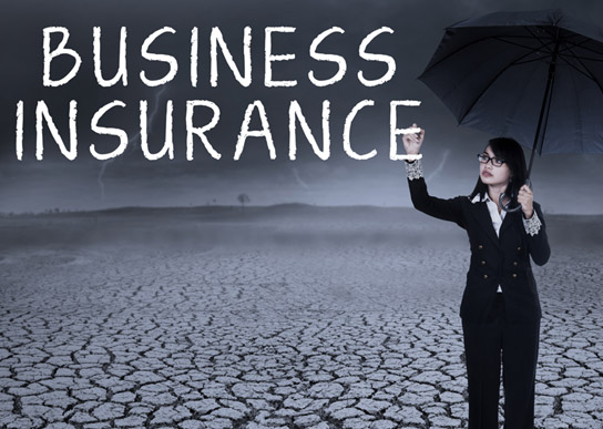 Why You Should Have Business Insurance
